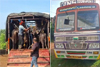Cattle-laden truck intercepted on Kalladka flyover; three flee as police arrive